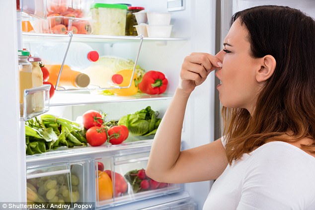 How to Control Odors Coming from Your Commercial Refrigerator