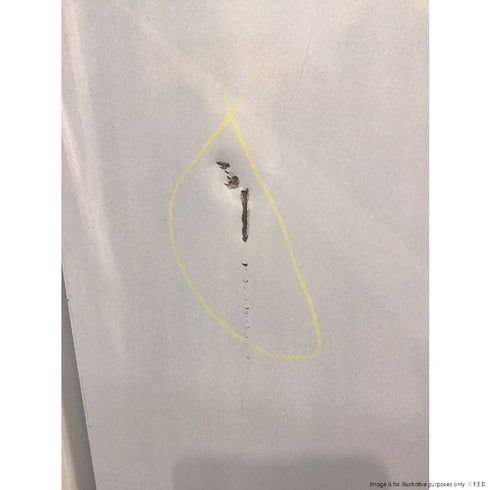 2NDs: TROPICAL Thermaster 2 x ½ door SS Freezer SUF500