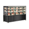 Exquisite CDM218 Three-Tier Cake Display Refrigerators – Mirror Display
