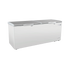 Exquisite Stainless Steel Top Storage Chest Freezers - ESS760H