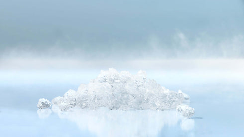 Hoshizaki Modular Flake Ice Machine 425kg Production FM-480AKE