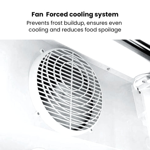 Thermaster Three Glass Door Colourbond Upright Drink Fridge LG-1203BP