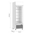Thermaster Large Single Glass Door Upright Drink Fridge - LG-540P