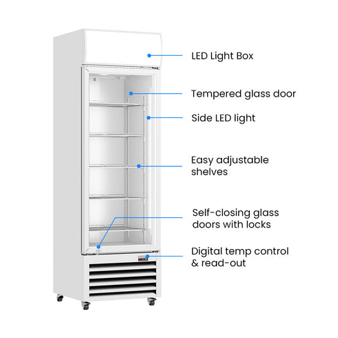 Thermaster Large Single Glass Door Upright Drink Fridge - LG-540P