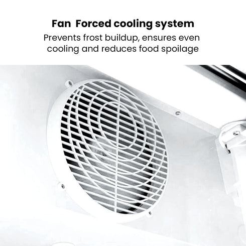 Thermaster Large Single Glass Door Upright Drink Fridge - LG-540P