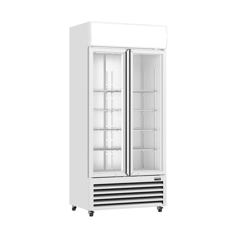 Thermaster Double Glass Door Colourbond Upright Drink Fridge LG-580P