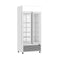 Thermaster Double Glass Door Colourbond Upright Drink Fridge LG-580P