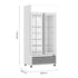 Thermaster Double Glass Door Colourbond Upright Drink Fridge LG-580P