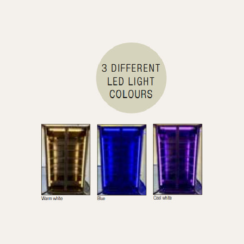 Exquisite Two Glass Doors Upright Display Fridge – Black - DC700