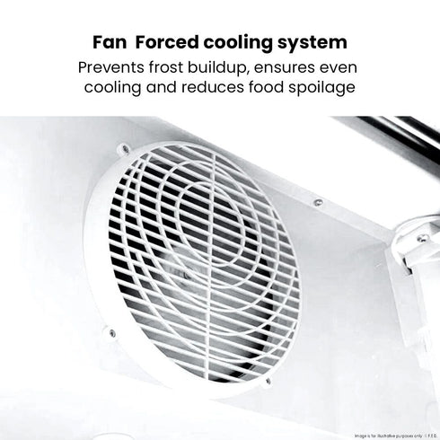 Thermaster Large Two Glass Door Colourbond Upright Drink Fridge - LG-1200P