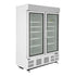 Polar G-Series 2-Door Upright Display Freezer 920Ltr White GH507-A
