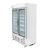 Polar G-Series 2-Door Upright Display Freezer 920Ltr White GH507-A
