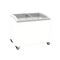 Exquisite Curved Glass Display Chest Freezers with LED Light - SD300