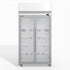 SKOPE 2 Glass Door Upright Display or Storage Freezer SKFT1000N-A