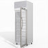 Skope EziCore 1 Glass Door Display or Storage Fridge - TCE650N
