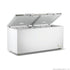 Thermaster 600L Chest Freezer with Stainless Steel Lid - BD600F