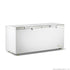 Thermaster 750L Chest Freezer with Stainless Steel Lid - BD750F