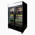Bromic 1266L Upright Display Freezer 2-Door - UF1250GDL-NR