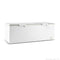 Thermaster Heavy Duty 980L 2 Lid Stainless Steel Chest Freezer - BD980F