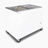 Bromic Chest Freezer 296L Flat Glass Top - CF0300FTFG-NR