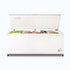 Bromic 675L Storage Chest Freezer - CF0700FTSS-NR