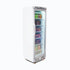Bromic Upright Display Freezer 300L - UF0374S-NR