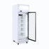 Bromic Flat Glass 444L LED Upright Display Freezer - UF0500LF