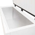 AG Stainless Lid Chest Freezer - 450L BD550S