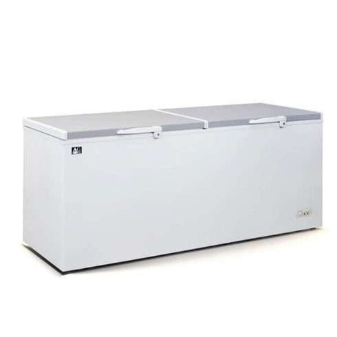 AG Commercial Chest Freezer - 670L BD700S