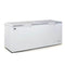 AG Commercial Chest Freezer - 670L BD700S