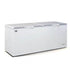 AG Commercial Chest Freezer - 670L BD700S