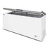 AG Stainless Lid Chest Freezer - 550L BD650S