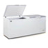 AG Commercial Chest Freezer - 670L BD700S