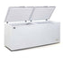 AG Commercial Chest Freezer - 670L BD700S