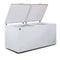 AG Commercial Chest Freezer - 850L BD900S