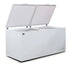 AG Commercial Chest Freezer - 850L BD900S
