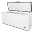AG Stainless Lid Chest Freezer - 550L BD650S