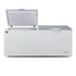 AG Commercial Chest Freezer - 670L BD700S