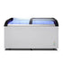 AG Sliding Glass Door Chest Freezer - 445L SD520Q