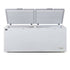 AG Commercial Chest Freezer - 670L BD700S