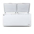 AG Commercial Chest Freezer - 850L BD900S