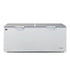 AG Commercial Chest Freezer - 670L BD700S
