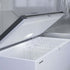 Liebherr Stainless Steel Flip Lid Chest Freezer 266L - EFL 3056
