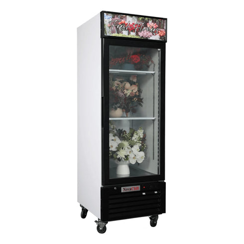 Premium 1 Glass Door Flower Fridge - SM600GFF