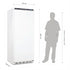 Polar C-Series Single Door Upright Freezer White 600Ltr CD615-A
