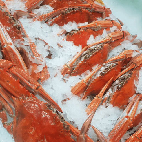 Grant Sub Zero Flake Ice Machine Evaporator 3200kg Production - FF3E