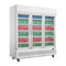Polar G-Series Triple Door Upright Display Chiller GE769-A